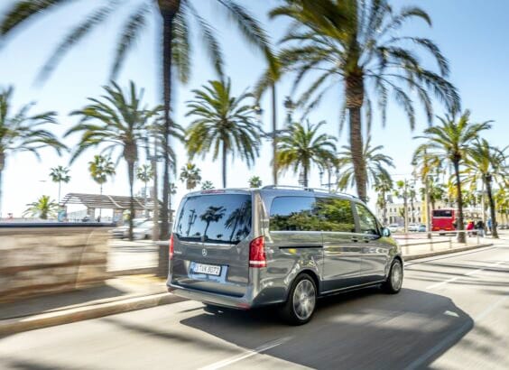 Mercedes Ba-lad sous les palmiers